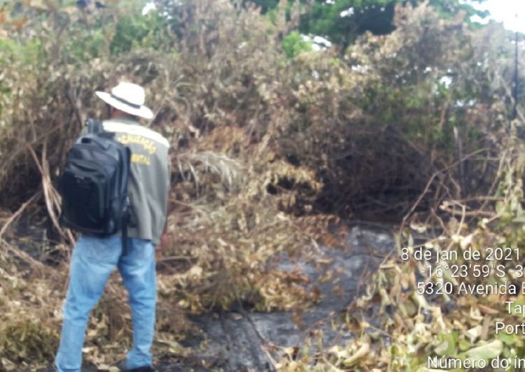 Ação rápida da Secretaria de Meio Ambiente combate incêndio em Porto Seguro