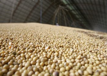 O que são commodities? Veja a matéria e entenda o que é e como funciona