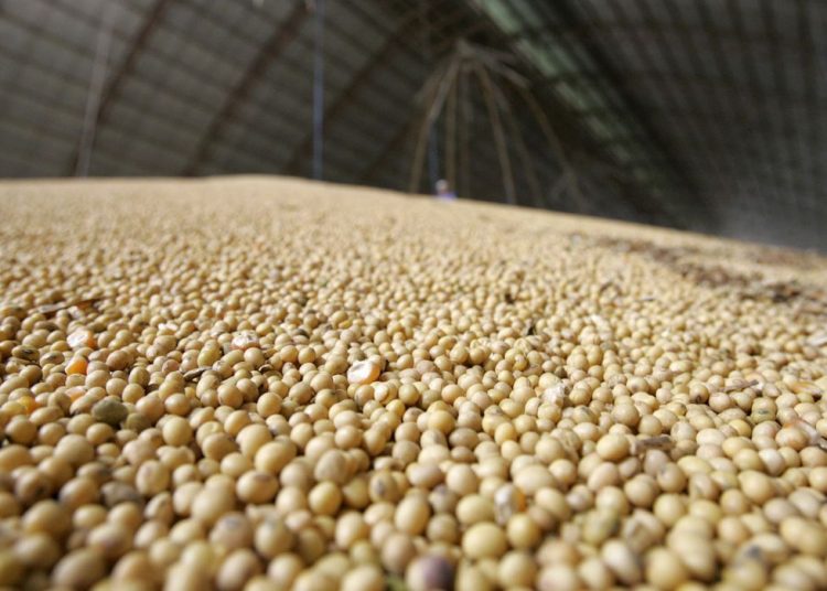 O que são commodities? Veja a matéria e entenda o que é e como funciona