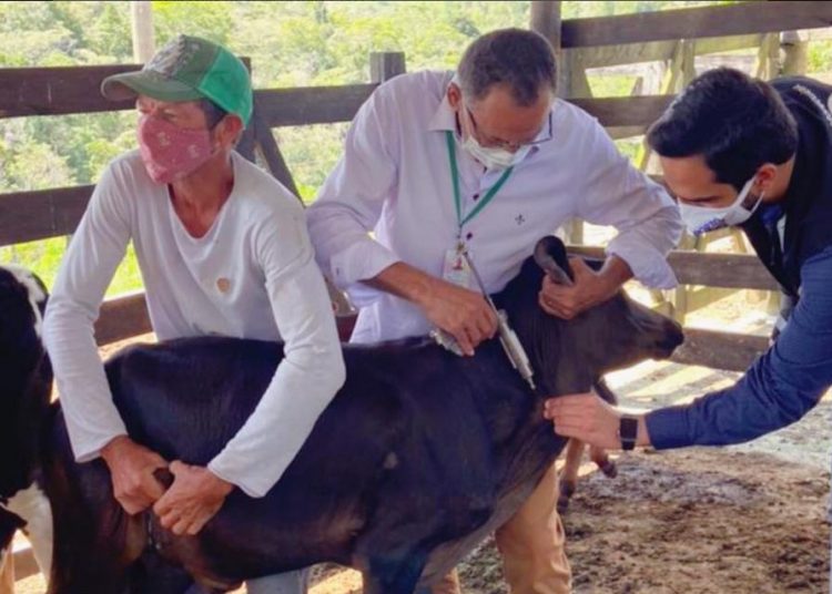 Prefeitura e ADAB fazem doações de vacina contra a febre aftosa