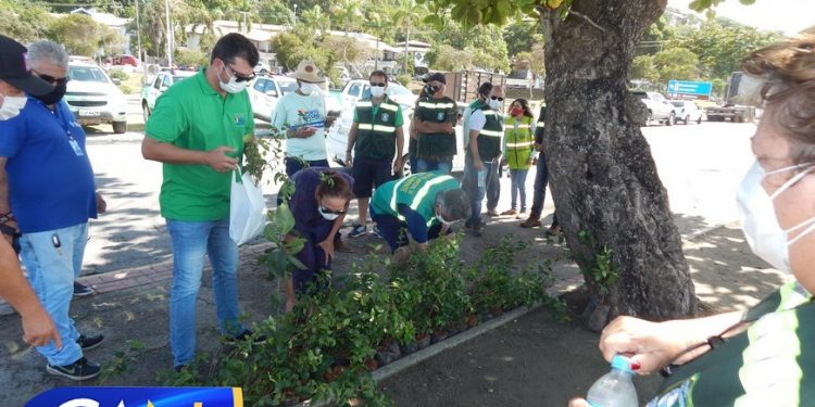Secretaria de Meio Ambiente de Porto Seguro apresenta nova frota e distribui mudas e árvores frutíferas