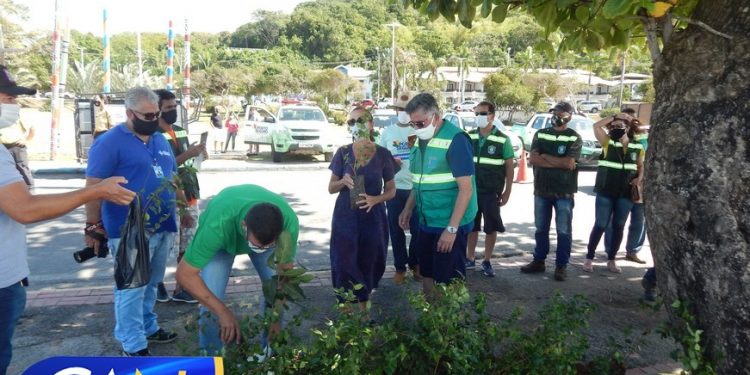 Secretaria de Meio Ambiente de Porto Seguro apresenta nova frota e distribui mudas e árvores frutíferas