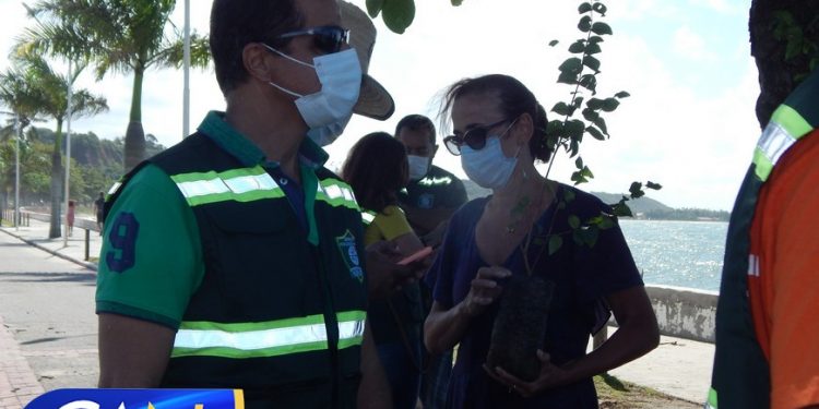 Secretaria de Meio Ambiente de Porto Seguro apresenta nova frota e distribui mudas e árvores frutíferas