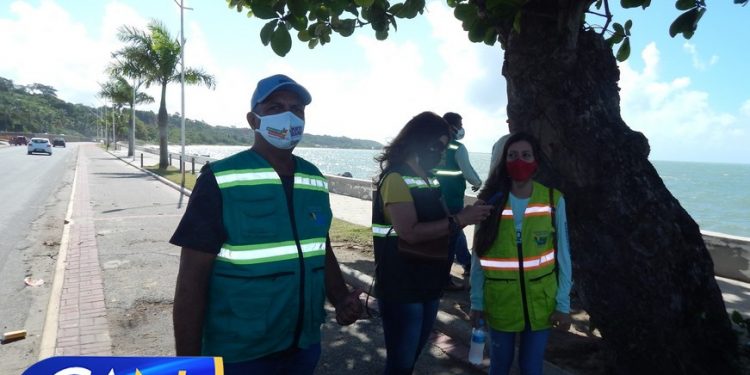 Secretaria de Meio Ambiente de Porto Seguro apresenta nova frota e distribui mudas e árvores frutíferas