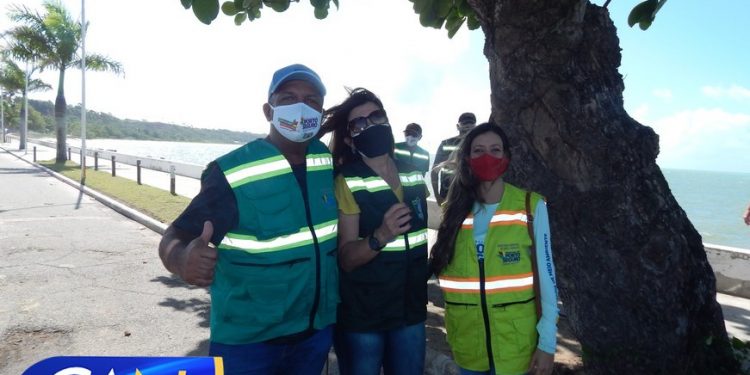 Secretaria de Meio Ambiente de Porto Seguro apresenta nova frota e distribui mudas e árvores frutíferas