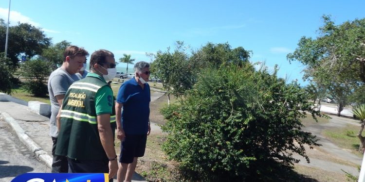 Secretaria de Meio Ambiente de Porto Seguro apresenta nova frota e distribui mudas e árvores frutíferas